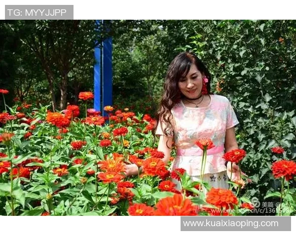 与杨丽对话探讨她的足球生涯与成长历程的精彩瞬间