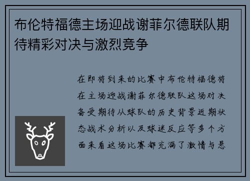 布伦特福德主场迎战谢菲尔德联队期待精彩对决与激烈竞争