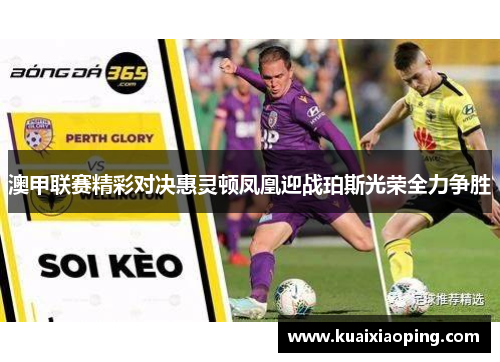 澳甲联赛精彩对决惠灵顿凤凰迎战珀斯光荣全力争胜